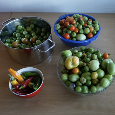 Chutney aus grünen Tomaten